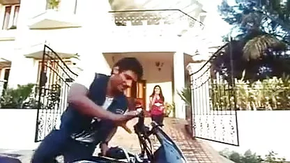 ஒரு சவுக்கை கொண்ட குஞ்சு ஒரு டிக் கே ஹேரி மருத்துவர் முந்தியது