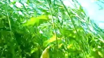 நாய் பாணி பழைய ஹேரி ஆபாச வீடு